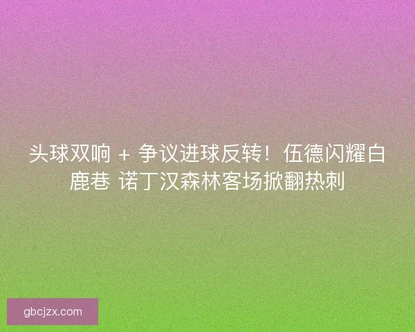 头球双响 + 争议进球反转！伍德闪耀白鹿巷 诺丁汉森林客场掀翻热刺