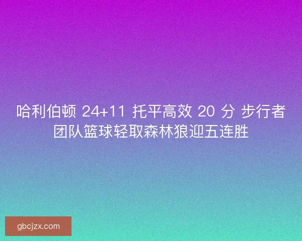 哈利伯顿 24+11 托平高效 20 分 步行者团队篮球轻取森林狼迎五连胜