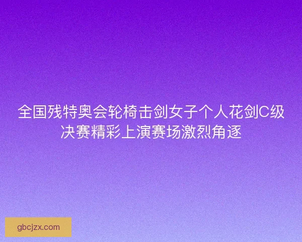 全国残特奥会轮椅击剑女子个人花剑C级决赛精彩上演赛场激烈角逐
