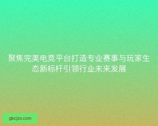 聚焦完美电竞平台打造专业赛事与玩家生态新标杆引领行业未来发展